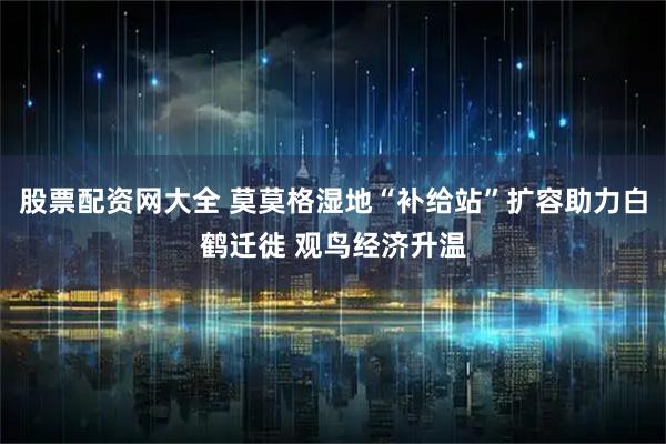 股票配资网大全 莫莫格湿地“补给站”扩容助力白鹤迁徙 观鸟经济升温